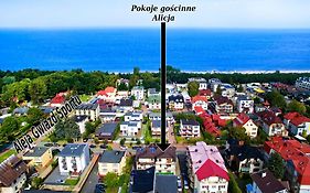 Top Location Alicja Klebba